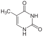 Chemical structure of thymine