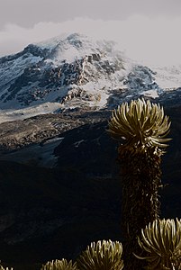 Nevado del Ruiz. En Colombie, la neige est sur les plus hauts sommets.