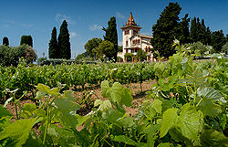 Clos La Plana en Sant Pere de Ribes