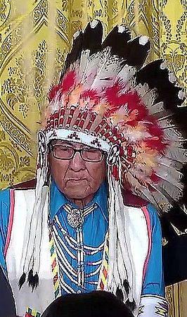 Joe Medicine Crow