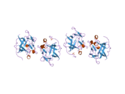 1z4s: Crystal Structure of Gly19 and Glu60 deletion mutant of Human Acidic Fibroblast Growth Factor