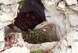 Intérieur de la 39 montrant le fouloir et la cuve de vinification.