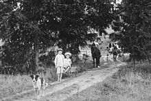 Anjing lembu biru yang menjalani lorong masuk di hadapan dua orang budak lelaki dengan kereta tarik mainan, dan seorang lelaki dan seorang wanita di dalam kereta tarikan kuda, 1902