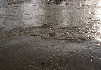 Tourbillon et turbulences dans une rivière.