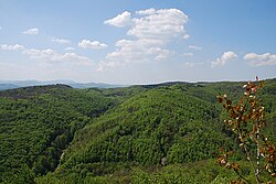 A Bécsi-erdő Bécstől nyugatra.