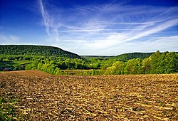 A farm in Barry Township