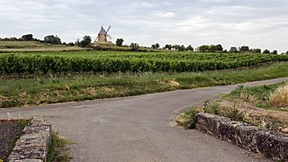 Le moulin à vent.