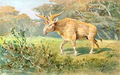 Sivatherium