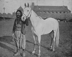 syrischer Araber, 1893