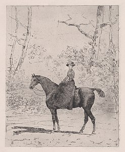 Amazone on horseback