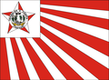 Bandeira de Itaguari