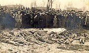Раскопки одного из захоронений лиц, убитых большевиками в лесу Палермо, Раквере, Эстония, 1919 год