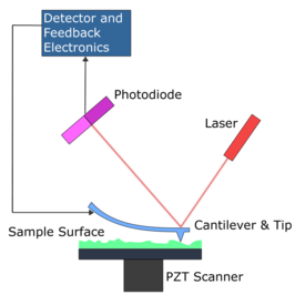 Schematische weergave van de atoomkrachtmicroscoop