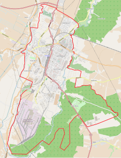 Mapa konturowa Kwidzyna, u góry po lewej znajduje się ikonka zamku z wieżą z opisem „Zamek w Kwidzynie”