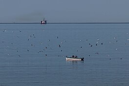 Strait of Belle Isle as seen from L'Anse-au-Loup