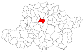 Location in Arad County