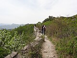 Mutianyu Grande Muraglia, Cina. Questo è in cima al muro su una sezione che non è stata restaurata