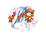 1ypv: Structure of human thymidylate synthase at low salt conditions