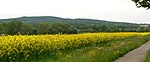 De Rehburger Berge met de Brunnenberg