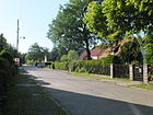 Straße im Walde