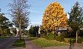 Ressensesstraat in de herfst