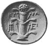 Revers d’une monnaie d’argent de la ville de Cyrène, représentant une tige de silphium.