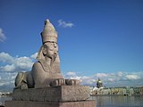 Sphinx of Amenhotep III. Saint Petersburg.