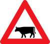 A27: Cattle