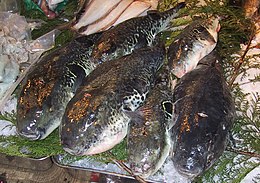 Fugu.Tsukiji.CR.jpg