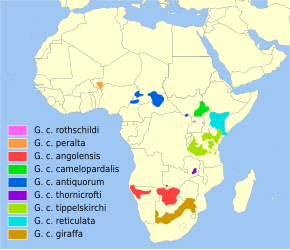 Descripcion d'l'imatge Giraffa camelopardalis distribution.svg.