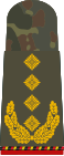 General (pensiunan)