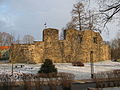 Ruine der Ordensburg Wolmar