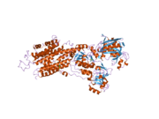 2o9j: Crystal structure of calcium atpase with bound magnesium fluoride and cyclopiazonic acid