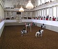 Image 13Austria is known for its Lipizzaner horses at Vienna's Spanish Riding School. (from Culture of Austria)