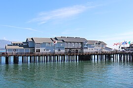 Stearns Wharf