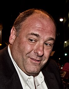 Actor James Gandolfini at the 2011 Toronto International Film Festival