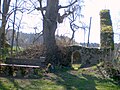 Kapellenruine zum heiligen Baum bei Arzberg