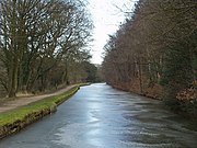 Leeds and Liverpool Canal and Buck Wood