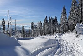 Un chemin en hiver dans les Beskides de Silésie, à proximité de la montagne de Barania Góra.