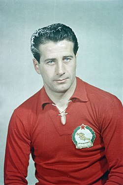 Bozsik József 1954-ben