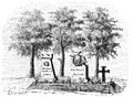 Die Gartenlaube (1867) b 748 3.jpg Gräber der preußischen Officiere v. Puttlitz und v. Pannewitz an der Chaussee von Sadowa.