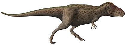 Tarbosaurus