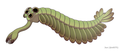 Image 30 Opabinia, an extinct stem group arthropod appeared in the Middle Cambrian (from Marine invertebrates)