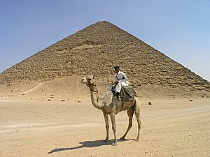 Politieman op een kameel voor de piramide