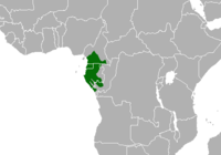 Distribución do mandril