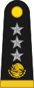 Division General