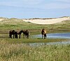 Île de Sable