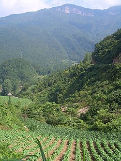 Near Wujiaping (between Gaoqiao and Nanyang)