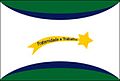 Bandeira de Amorinópolis