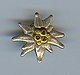 German Alpine Club logo pin.[35]